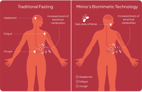 Revitalize Your Cells: Key Strategies to Improve Cellular Health