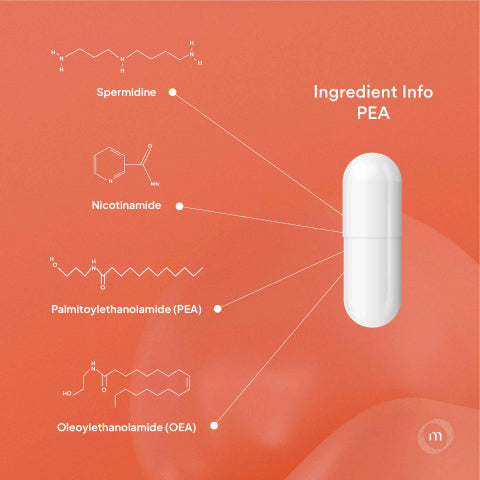 PEA (Palmitoylethanolamide) As An Ingredient In Cell Care