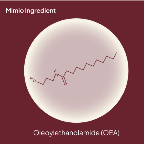According To The Science, What Is Oleoylethanolamide (OEA)?