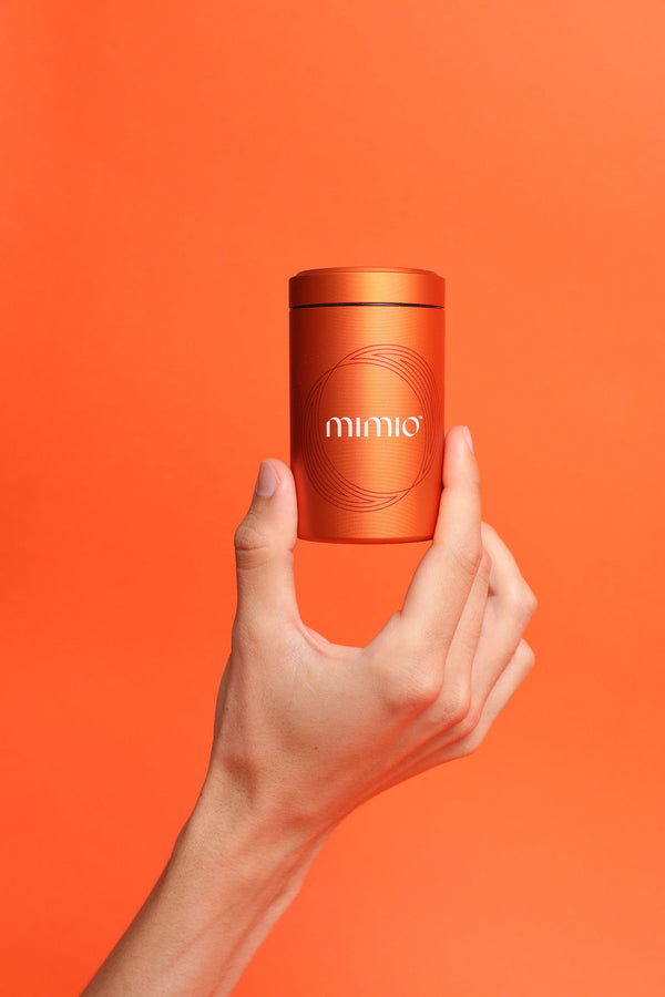 Inspired by Nature: Exploring Biomimicry Products in the Market