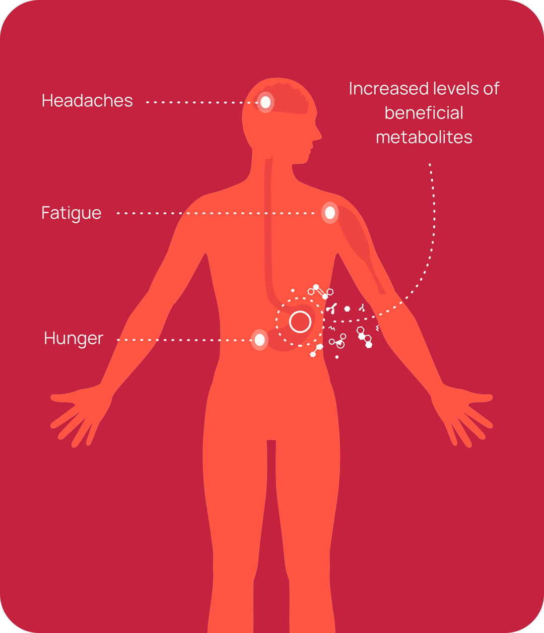 diagram of traditional fasting