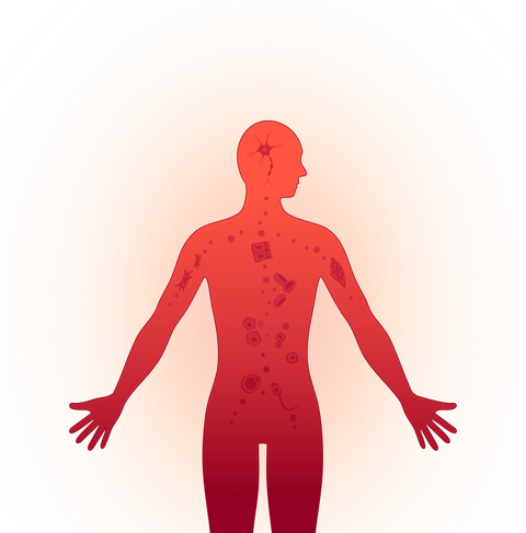 The Gut-Mitochondria Axis: How Microbiome Health Fuels Your Cellular Energy