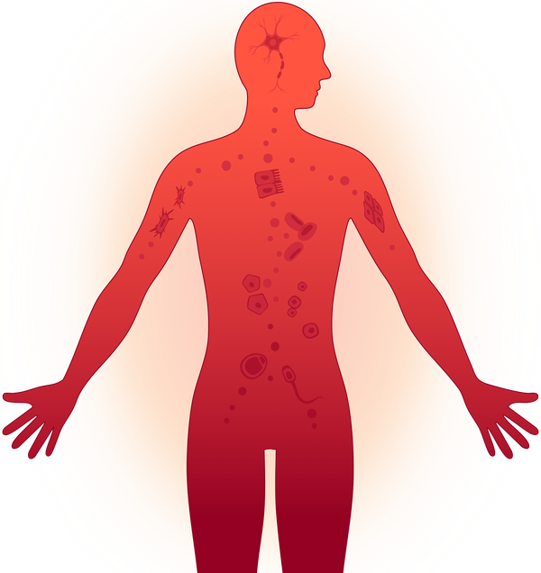 Senolytic Supplements: Clearing Zombie Cells