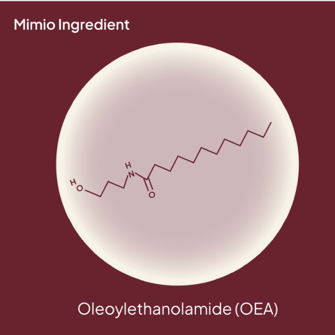 Oleoylethanolamide (OEA): Scientific Literature