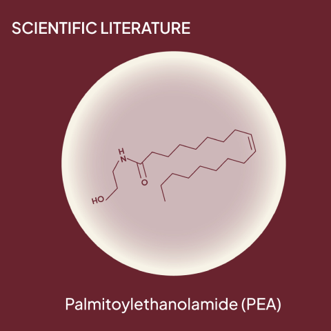 Palmitoylethanolamide (PEA): Scientific Literature