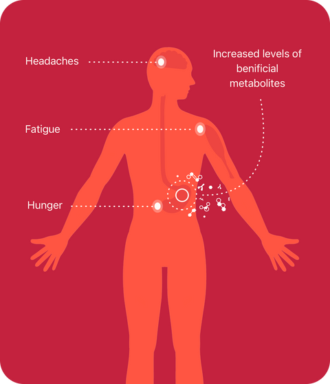 Beyond Autophagy: The Emerging Role of Mitophagy in Longevity