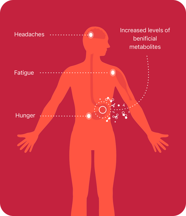 Beyond Autophagy: The Emerging Role of Mitophagy in Longevity