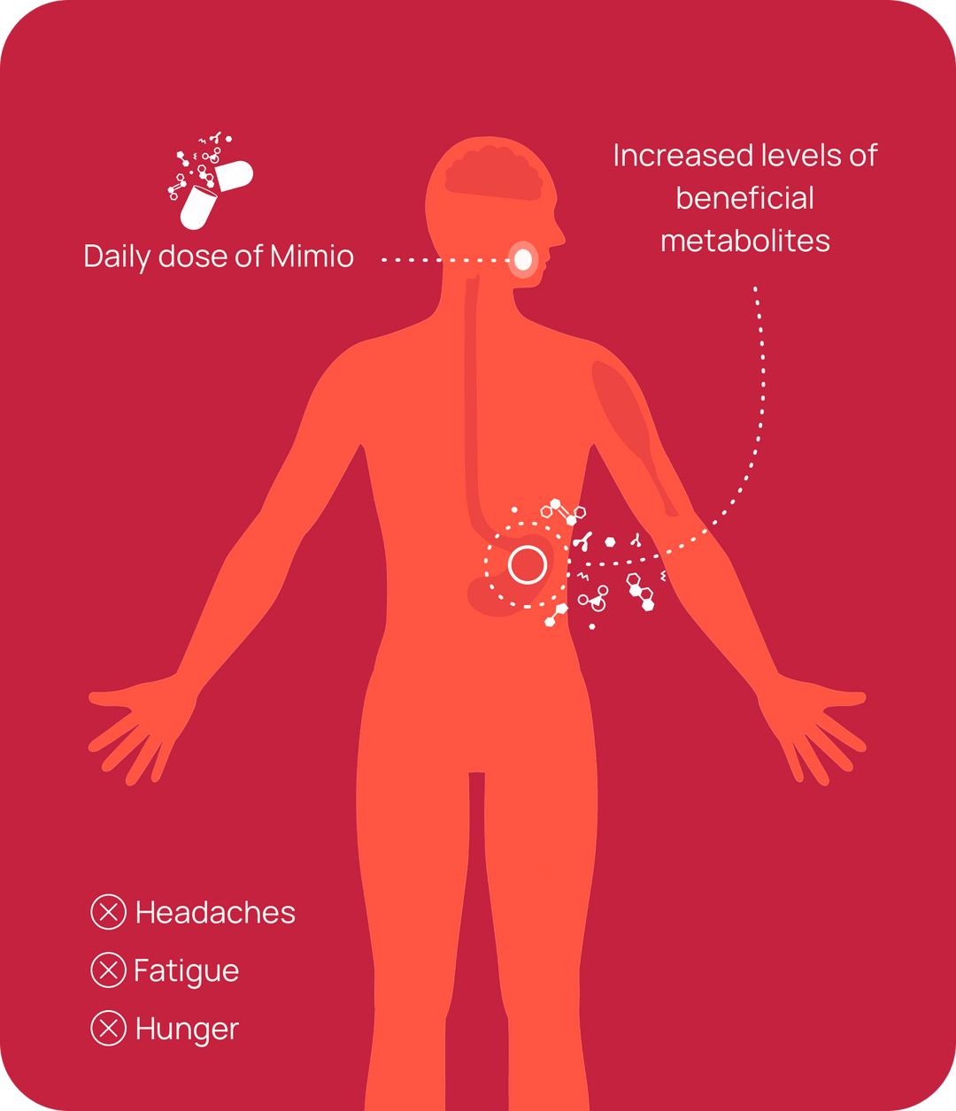 diagram of mimio's effect