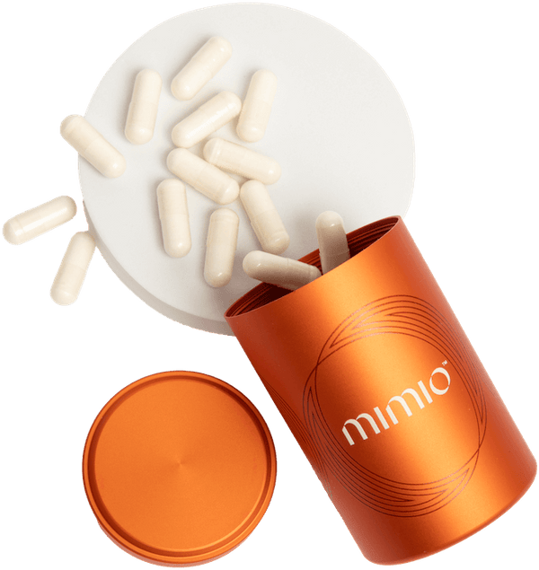 Autophagy Fasting Chart Optimize Cellular Repair & Health